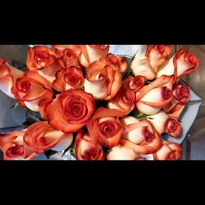 Meet your Posher, Karla